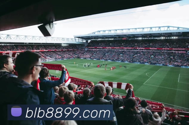 百乐博官网APP 封面图