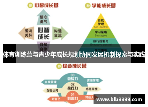 体育训练营与青少年成长规划协同发展机制探索与实践